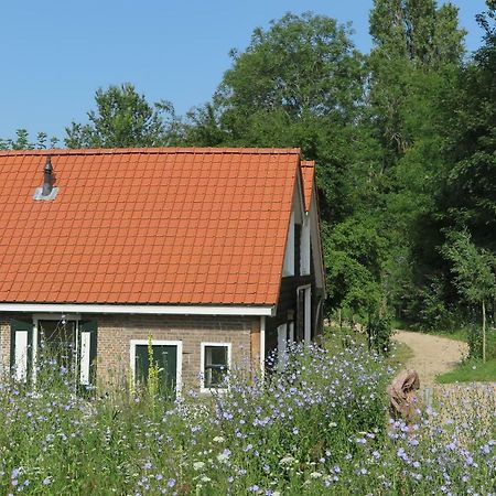 Het Kunstenaarshuis Kamperland Exteriör bild
