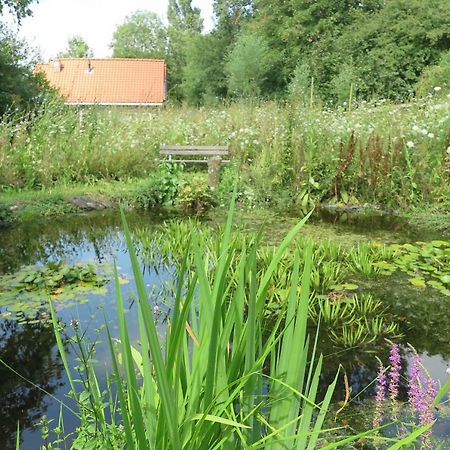 Het Kunstenaarshuis Kamperland Exteriör bild