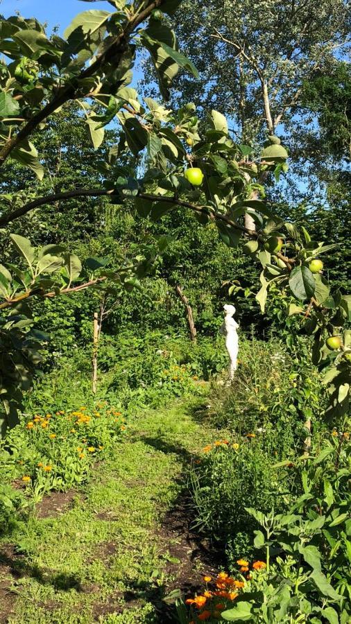 Het Kunstenaarshuis Kamperland Exteriör bild