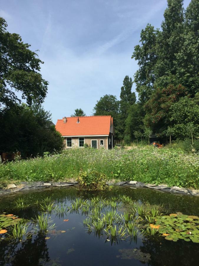 Het Kunstenaarshuis Kamperland Exteriör bild