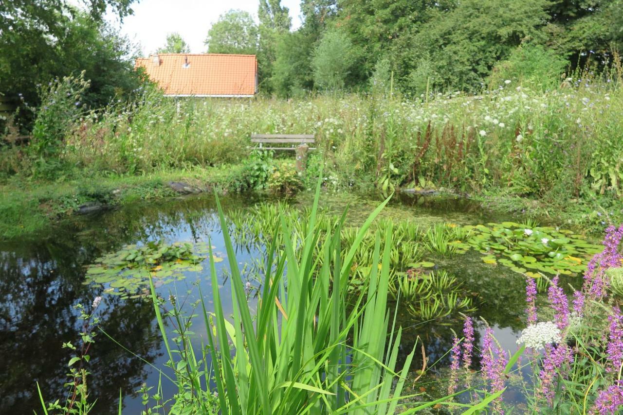 Het Kunstenaarshuis Kamperland Exteriör bild